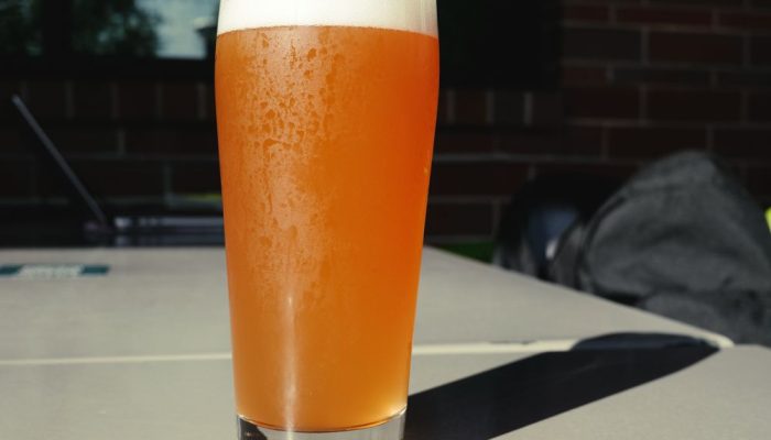 Foto di BrewDog Punk IPA